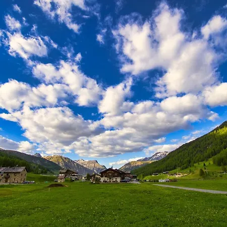 Whistling Valley 4 Flat Livigno